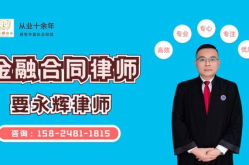 民间借贷律师,民间借贷法律实务解析与案例分析