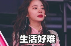 深夜娱乐吃瓜,揭秘娱乐圈最新吃瓜大事件